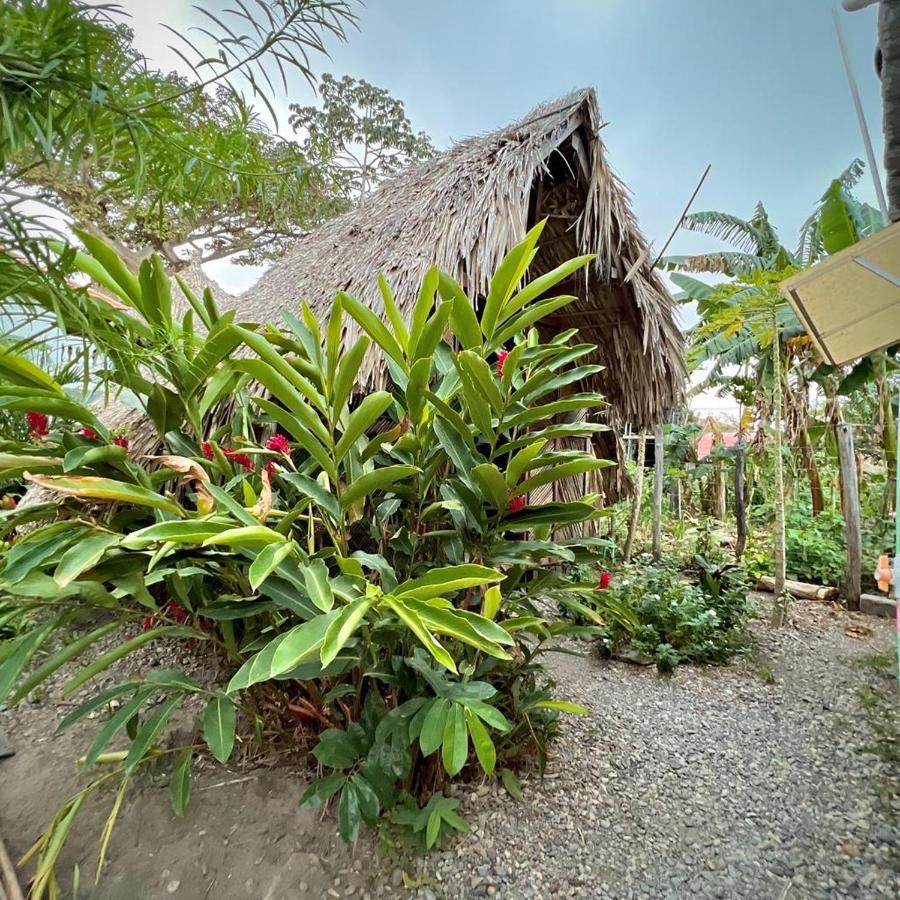 Kaluta Albergue Palomino Exterior foto