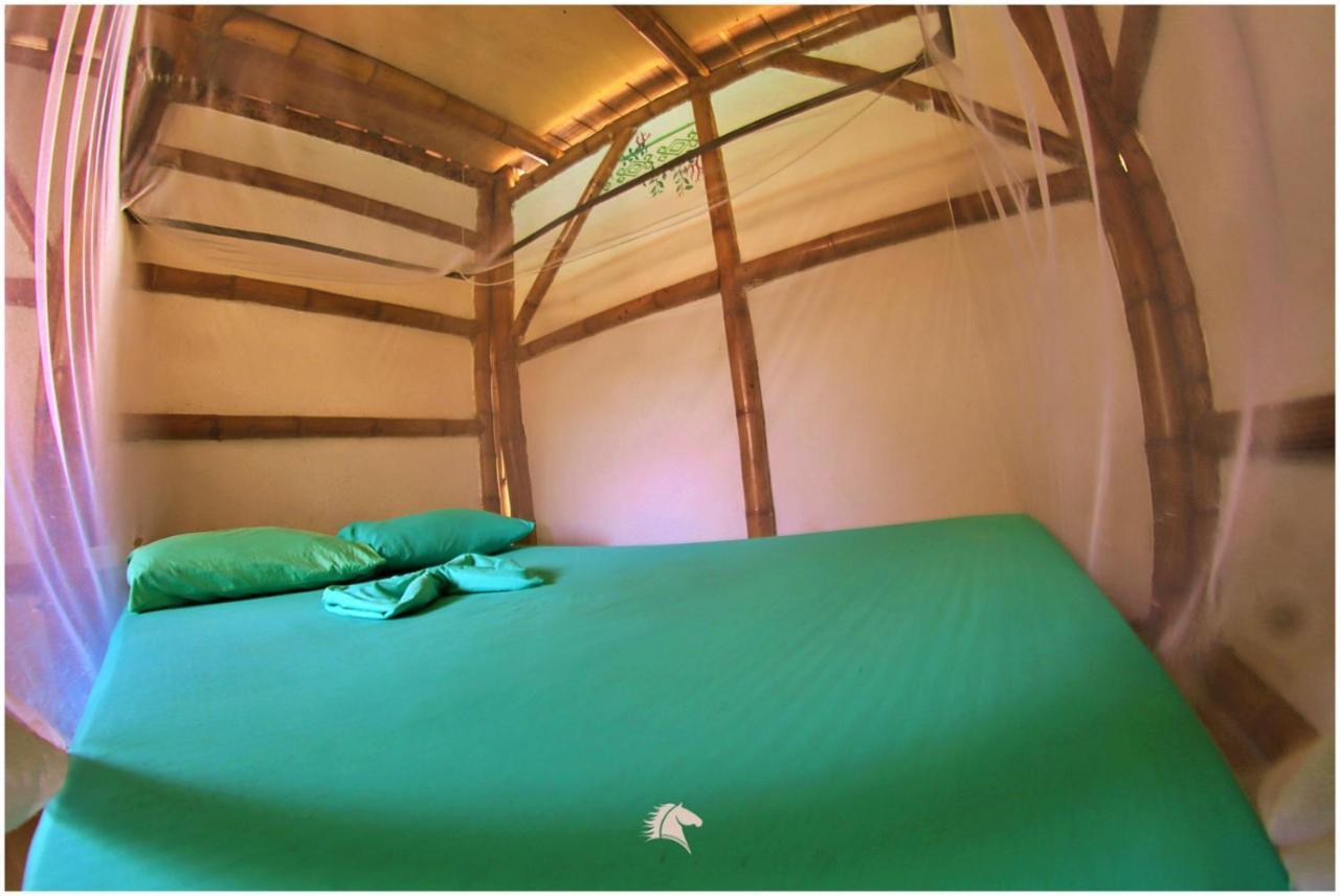 Kaluta Albergue Palomino Exterior foto