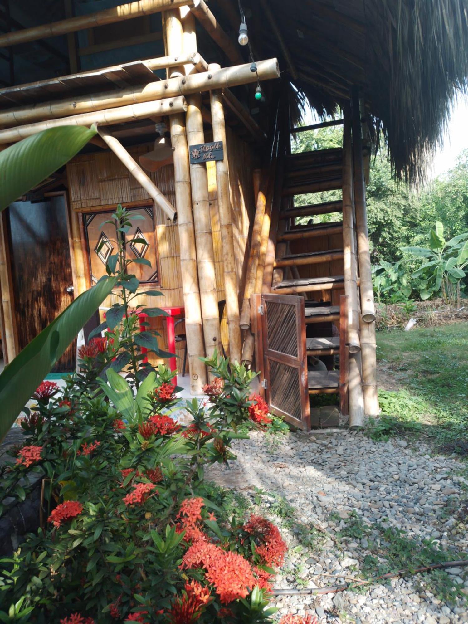 Kaluta Albergue Palomino Exterior foto
